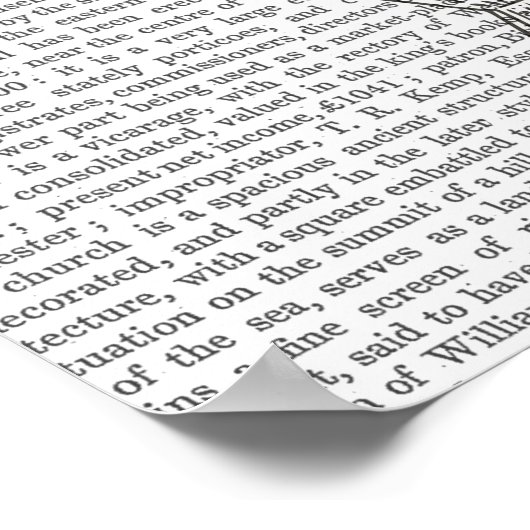 Heißluftballon-Frau Poster (Ecke)