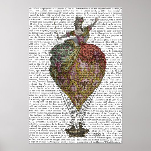 Heißluftballon-Frau Poster (Vorne)