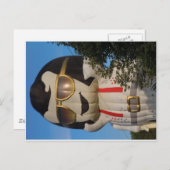 Heißluftballon in Binghamton, NY Postkarte (Vorne/Hinten)