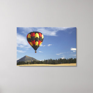 Heißluftballon in der Nähe von Wanaka, Südinsel, N Leinwanddruck