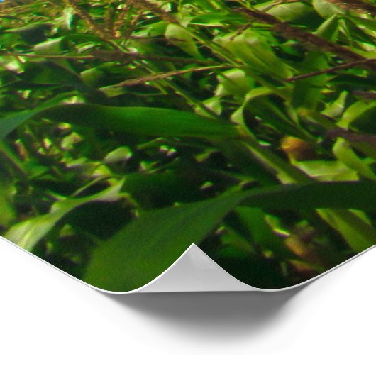 Heißluftballons Poster (Ecke)