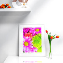 Heißrosa Gänseblümchen und grüne Chrysanthemen Pos