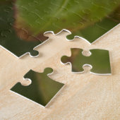 Heißrosa Kamelie, San Francisco Puzzle (Seite)