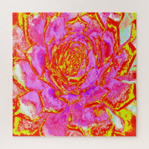 Heißrosa, rote und gelbe Sukkulente Sedumrosette Puzzle