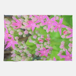 Heissrosa Sukkulentes Sedum mit fleshy-grünen Blät Geschirrtuch