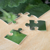 Heißrosa Zonale Geranie, San Mateo Puzzle (Seite)