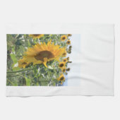 Heitre italienische Sonnenblume Geschirrtuch (Horizontal)