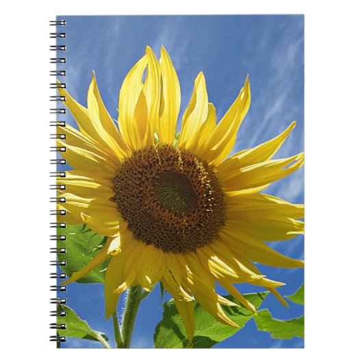 Heitre Sonnenblume Notizblock (Vorderseite)