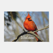 Heitrer Kardinals-willkommene Matte (Vorderseite)
