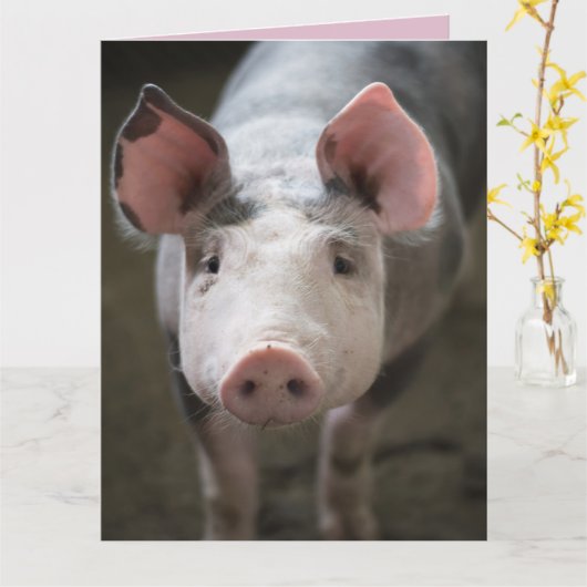 HEIZEN UND KISSEN SCHWEINKARTENKARTEN KARTE (Gelbe Blume)