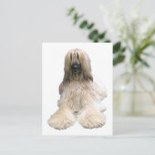 Helaines Afghanin Postkarte (Stehend Vorderseite)