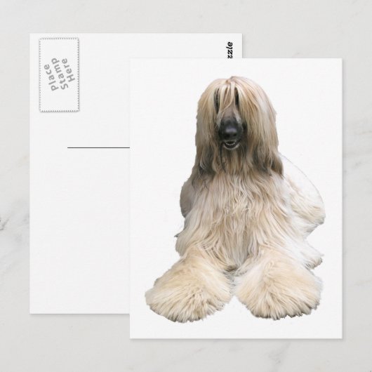 Helaines Afghanin Postkarte (Vorne/Hinten)