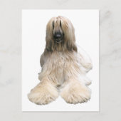 Helaines Afghanin Postkarte (Vorderseite)