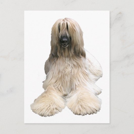 Helaines Afghanin Postkarte (Vorderseite)