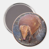 Helaine's Armadillo Magnet (Vorderseite/Rückseite)