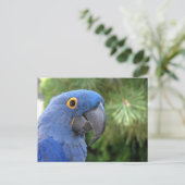 Helaine's Blauer Papagei Postkarte (Stehend Vorderseite)