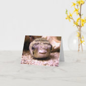 Helaines BlowfishPufferfish Karte (Gelbe Blume)