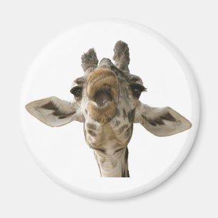 Helaines doof Giraffe Magnet