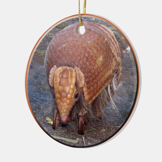 Helaines Gürteltier Keramikornament (Links)