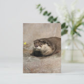 Helaine's Otter Postkarte (Stehend Vorderseite)