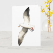 Helaine's Soaring Seagull Karte (Gelbe Blume)