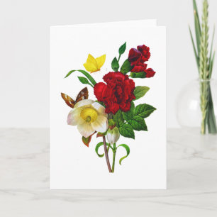 Helebore, WeihnachtsRose durch Pierre Joseph Feiertagskarte
