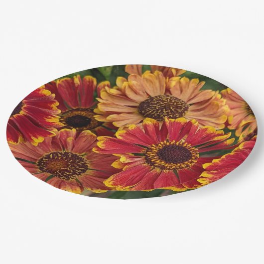 Helenium Autumnale Blooms Floral Pappteller (Schrägansicht)