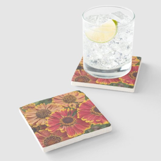 Helenium Autumnale Blooms Floral Steinuntersetzer (Seitenansicht)