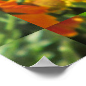 Helenium Bee Orange Blume Poster (Ecke)