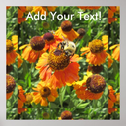 Helenium Bee Orange Blume Poster (Vorne)