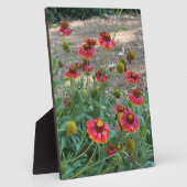 Helenium Blume Fotoplatte (Seite)