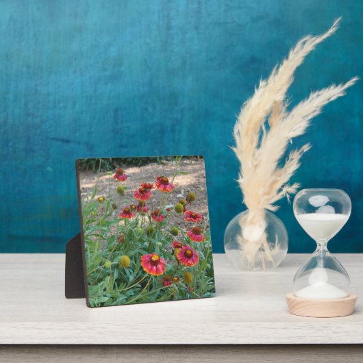 Helenium Blume Fotoplatte (InSitu)