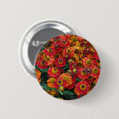 Helenium-Blume in Rot und Orange Button (Vorne & Hinten)