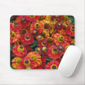 Helenium-Blume in Rot und Orange Mousepad (Mit Mouse)