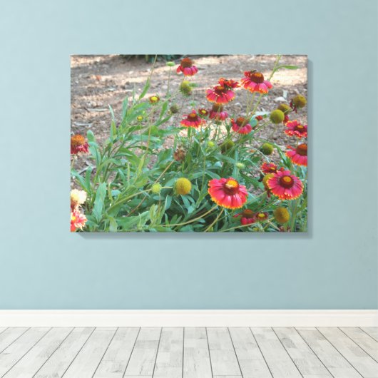 Helenium Blume Leinwanddruck (Insitu (Holzboden))