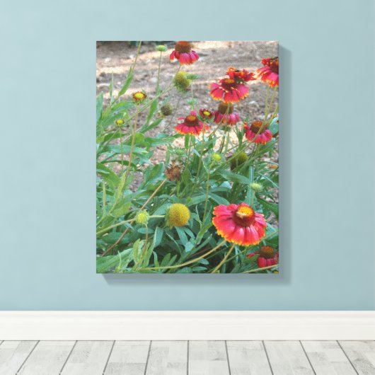 Helenium Blume Leinwanddruck (Insitu (Holzboden))