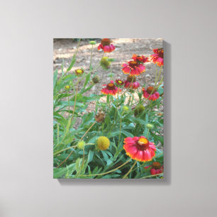 Helenium Blume Leinwanddruck
