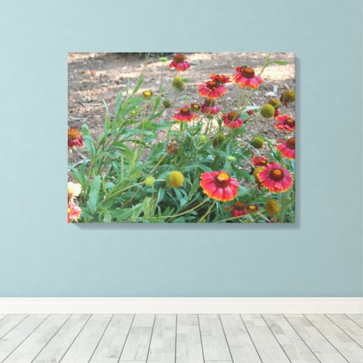 Helenium Blume Leinwanddruck (Insitu (Holzboden))