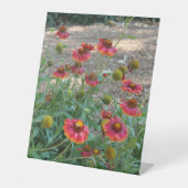 Helenium Blume Sockelschild (Vorderseite)