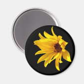 Helenium Magnet (Vorderseite/Rückseite)