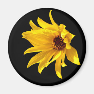 Helenium Magnet