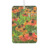 Helenium ‚Sneezeweed‘ Autolufterfrischer (Vorderseite)