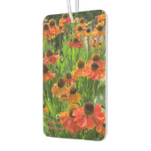 Helenium ‚Sneezeweed‘ Autolufterfrischer (Links)