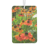 Helenium ‚Sneezeweed‘ Autolufterfrischer (Rückseite)