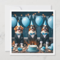 Helfen Sie unserem kleinen Gentleman, unserem Hund