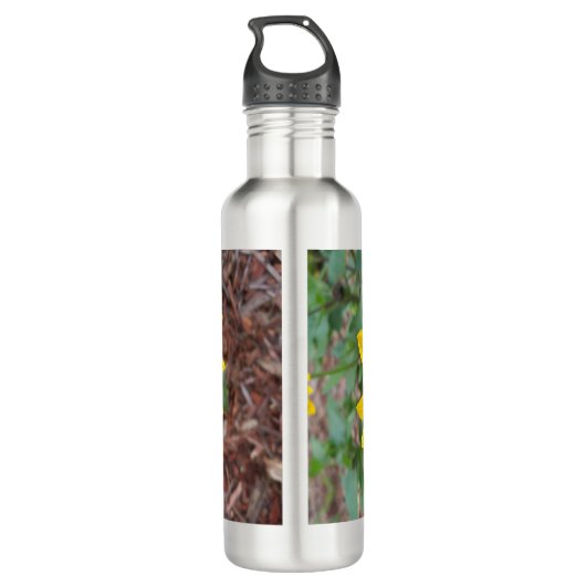 Helianthus annuus edelstahlflasche (Rückseite)