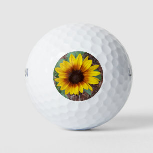 Helianthus Annuus Golfball