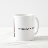 Helianthus Annuus Kaffeetasse (VorderseiteRechts)