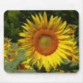 Helianthus annuus mousepad (Vorne)