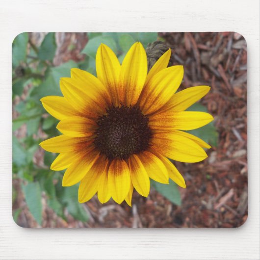 Helianthus Annuus Mousepad (Vorne)